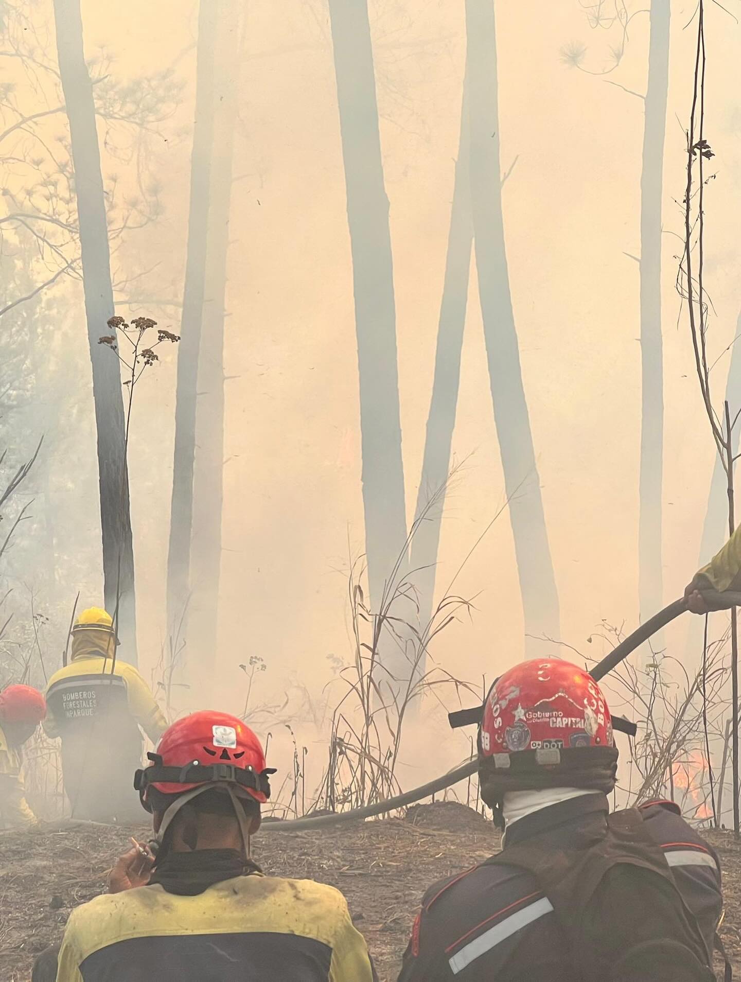 🕒 ¡LABORES SIN DESCANSO EN LA ARC!
Desde las primeras horas de la mañana, nuestros equipos de respuesta se mantienen en combate activo contra el incendio de vegetación en el Km 5 de la Autopista Regional del Centro.
Bajo el mando unificado del Primer Gral. (B) Dr. Juan Carlos González Rodríguez Director General Nacional de Bomberos y el Gral. (B) Germán Gutiérrez, Comandante de Bomberos Forestales Inparques, las fuerzas bomberiles continúan desplegadas ejecutando maniobras estratégicas.
La prioridad sigue siendo el resguardo de los locales comerciales y puestos de comida de la zona.
¡Seguimos en pie de lucha para garantizar la seguridad de todos! 🚒🔥
#BomberosVenezuela #Inparques #ARC #Actualizacion #SeguridadCiudadana NoBajamosLaGuardia