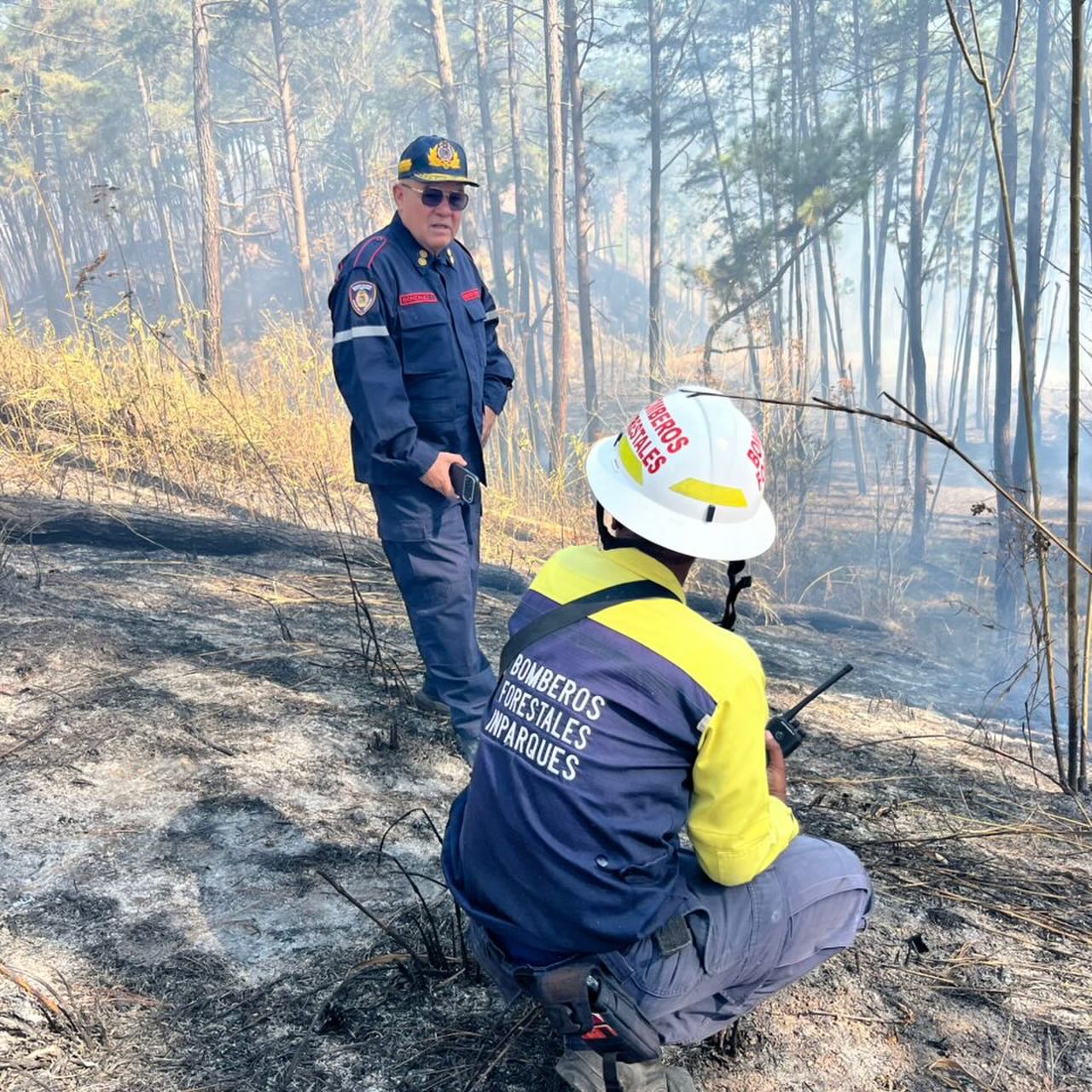 💪 ¡UN SOLO EQUIPO EN PRIMERA LÍNEA!
Desde el Km 5 de la Autopista Regional del Centro (ARC), la Dirección General Nacional de Bomberos y los Bomberos Forestales de Inparques ejecutan un despliegue conjunto para enfrentar un incendio de vegetación de rápido avance.
Esta operación de alto impacto cuenta con la supervisión directa del Primer General (B) Dr. Juan Carlos González Rodríguez (Director General Nacional) y el General (B) Germán Gutiérrez, Primer Comandante de Bomberos Forestales.
Nuestras comisiones realizan maniobras de ataque directo para frenar la propagación hacia los puestos de comida y locales comerciales del sector.
¡No descansaremos hasta eliminar el riesgo y garantizar la seguridad de nuestra gente! 🚒🔥
#BomberosVenezuela #Inparques #SeguridadCiudadana #IncendioForestal #UnionYFuerza