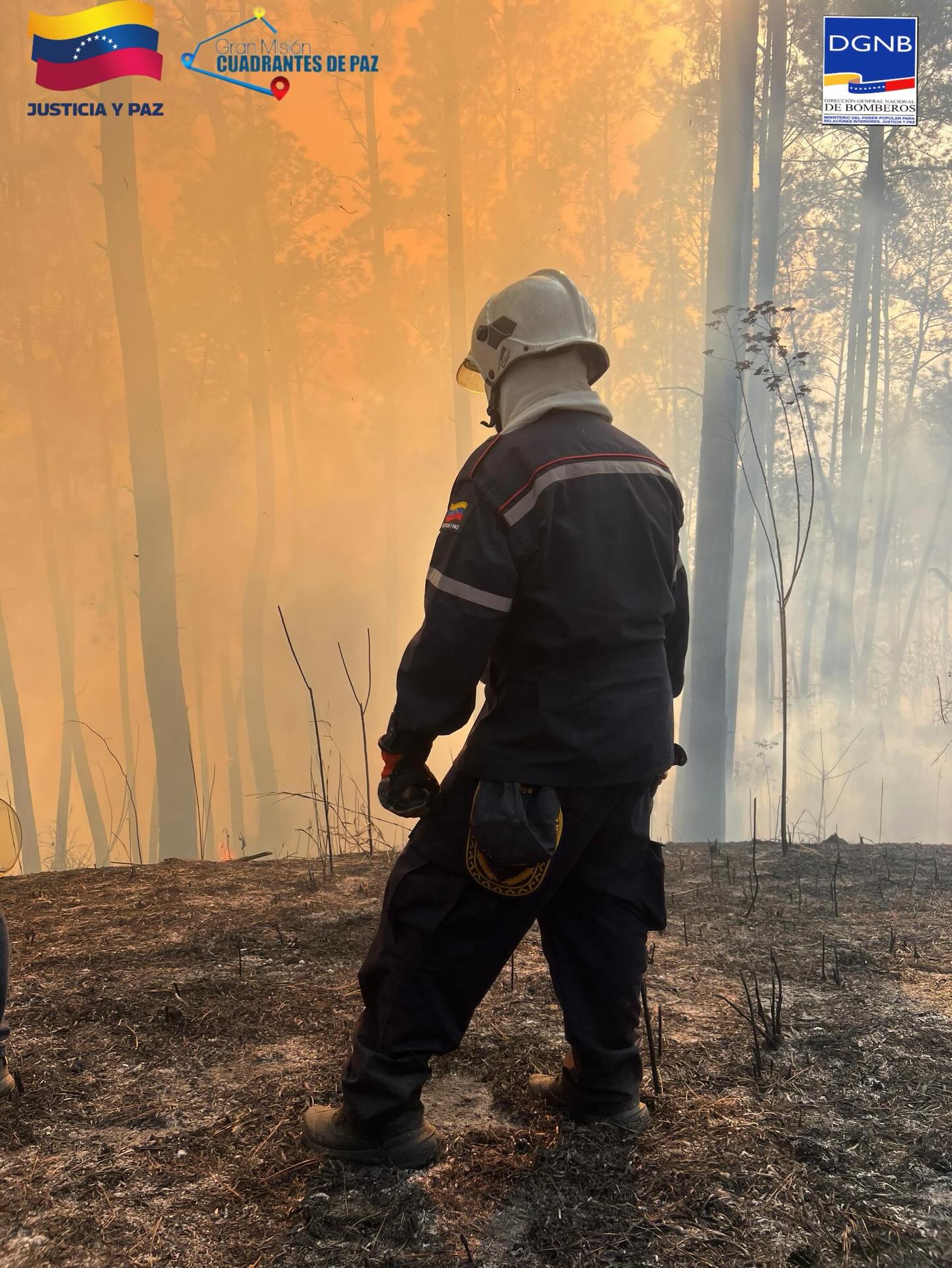 🕒 ¡LABORES SIN DESCANSO EN LA ARC!
Desde las primeras horas de la mañana, nuestros equipos de respuesta se mantienen en combate activo contra el incendio de vegetación en el Km 5 de la Autopista Regional del Centro.
Bajo el mando unificado del Primer Gral. (B) Dr. Juan Carlos González Rodríguez Director General Nacional de Bomberos y el Gral. (B) Germán Gutiérrez, Comandante de Bomberos Forestales Inparques, las fuerzas bomberiles continúan desplegadas ejecutando maniobras estratégicas.
La prioridad sigue siendo el resguardo de los locales comerciales y puestos de comida de la zona.
¡Seguimos en pie de lucha para garantizar la seguridad de todos! 🚒🔥
#BomberosVenezuela #Inparques #ARC #Actualizacion #SeguridadCiudadana NoBajamosLaGuardia