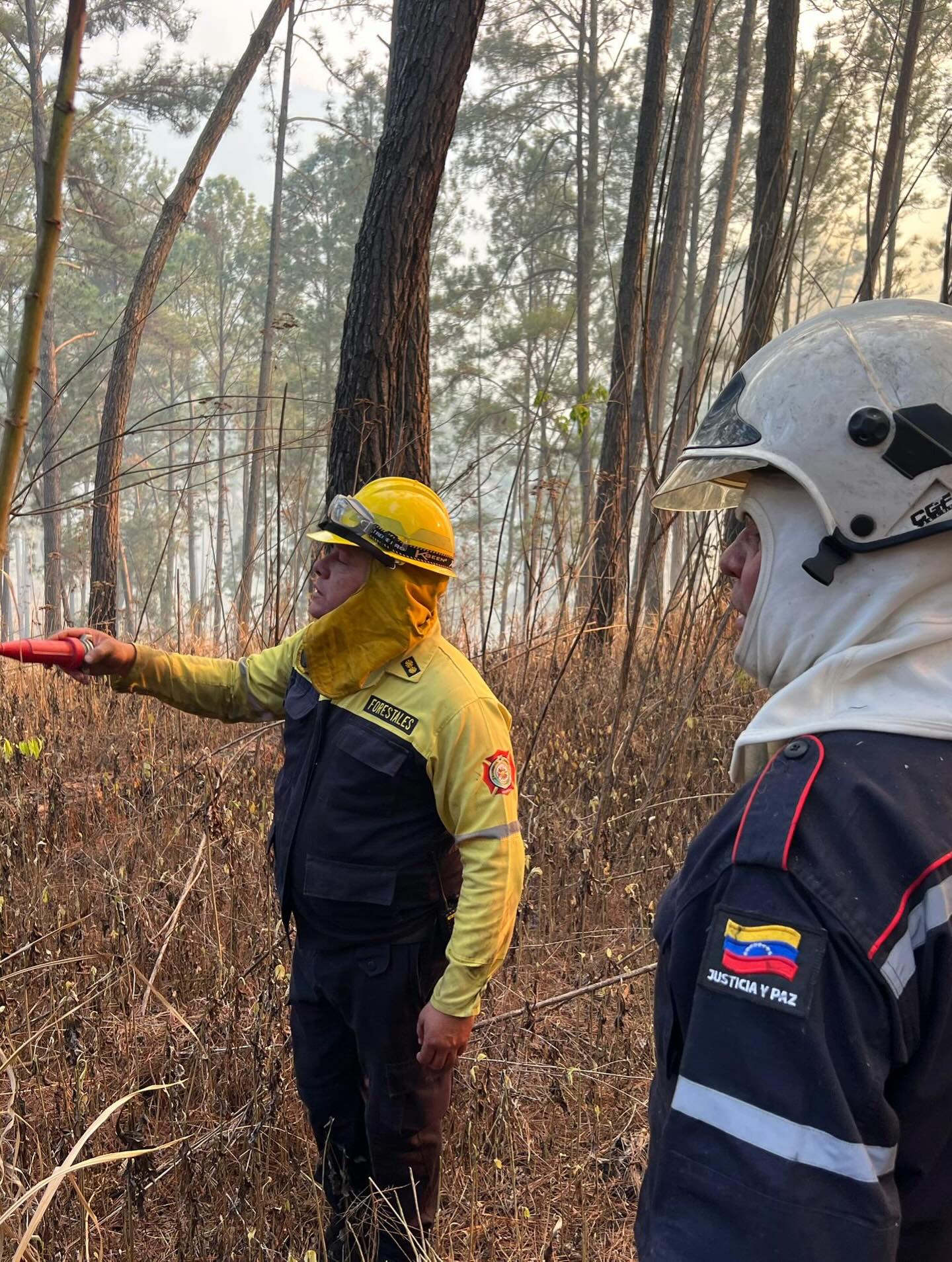 🕒 ¡LABORES SIN DESCANSO EN LA ARC!
Desde las primeras horas de la mañana, nuestros equipos de respuesta se mantienen en combate activo contra el incendio de vegetación en el Km 5 de la Autopista Regional del Centro.
Bajo el mando unificado del Primer Gral. (B) Dr. Juan Carlos González Rodríguez Director General Nacional de Bomberos y el Gral. (B) Germán Gutiérrez, Comandante de Bomberos Forestales Inparques, las fuerzas bomberiles continúan desplegadas ejecutando maniobras estratégicas.
La prioridad sigue siendo el resguardo de los locales comerciales y puestos de comida de la zona.
¡Seguimos en pie de lucha para garantizar la seguridad de todos! 🚒🔥
#BomberosVenezuela #Inparques #ARC #Actualizacion #SeguridadCiudadana NoBajamosLaGuardia