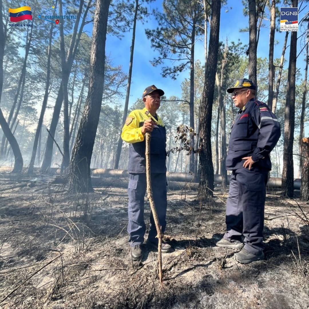 💪 ¡UN SOLO EQUIPO EN PRIMERA LÍNEA!
Desde el Km 5 de la Autopista Regional del Centro (ARC), la Dirección General Nacional de Bomberos y los Bomberos Forestales de Inparques ejecutan un despliegue conjunto para enfrentar un incendio de vegetación de rápido avance.
Esta operación de alto impacto cuenta con la supervisión directa del Primer General (B) Dr. Juan Carlos González Rodríguez (Director General Nacional) y el General (B) Germán Gutiérrez, Primer Comandante de Bomberos Forestales.
Nuestras comisiones realizan maniobras de ataque directo para frenar la propagación hacia los puestos de comida y locales comerciales del sector.
¡No descansaremos hasta eliminar el riesgo y garantizar la seguridad de nuestra gente! 🚒🔥
#BomberosVenezuela #Inparques #SeguridadCiudadana #IncendioForestal #UnionYFuerza