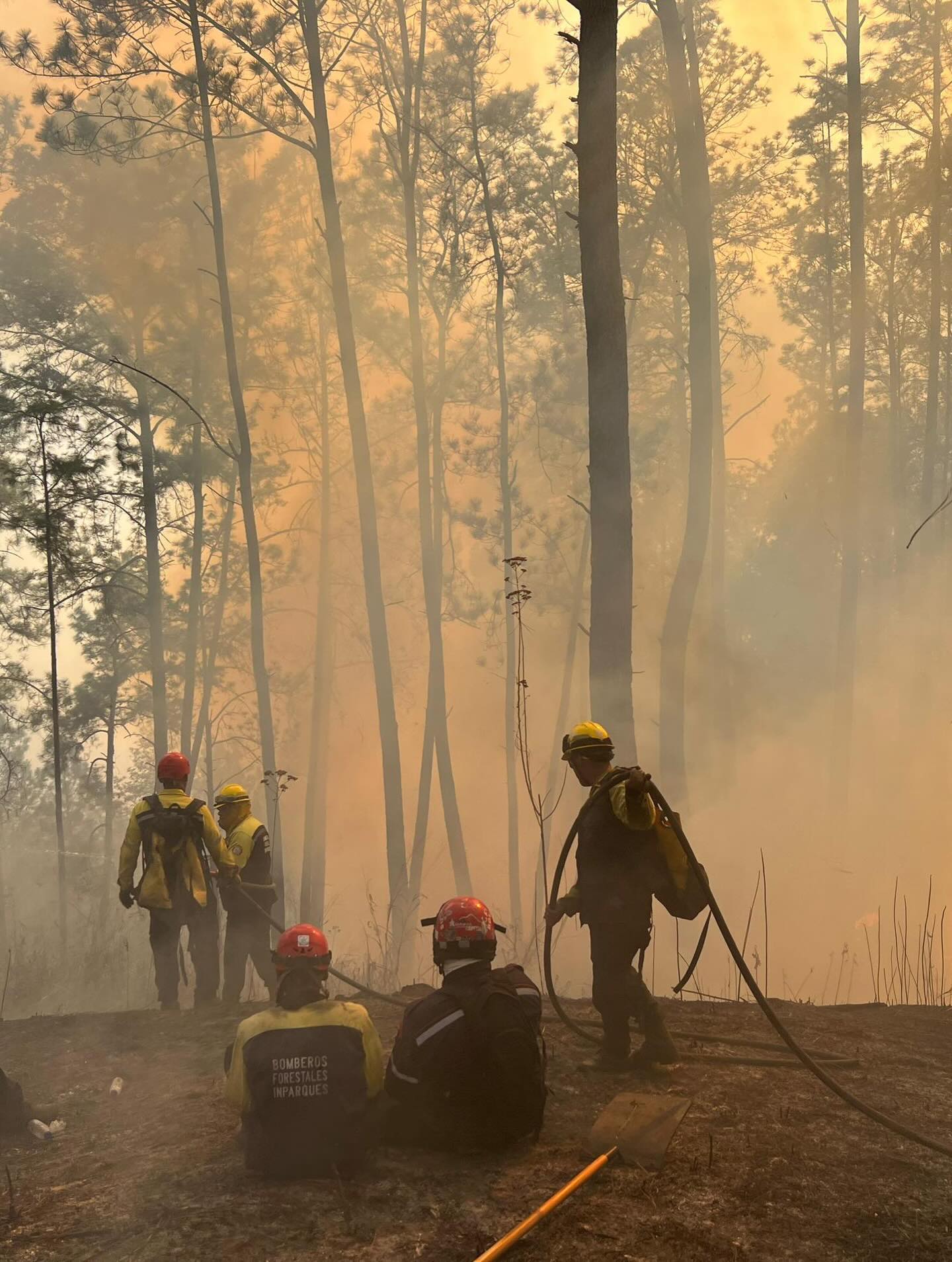🕒 ¡LABORES SIN DESCANSO EN LA ARC!
Desde las primeras horas de la mañana, nuestros equipos de respuesta se mantienen en combate activo contra el incendio de vegetación en el Km 5 de la Autopista Regional del Centro.
Bajo el mando unificado del Primer Gral. (B) Dr. Juan Carlos González Rodríguez Director General Nacional de Bomberos y el Gral. (B) Germán Gutiérrez, Comandante de Bomberos Forestales Inparques, las fuerzas bomberiles continúan desplegadas ejecutando maniobras estratégicas.
La prioridad sigue siendo el resguardo de los locales comerciales y puestos de comida de la zona.
¡Seguimos en pie de lucha para garantizar la seguridad de todos! 🚒🔥
#BomberosVenezuela #Inparques #ARC #Actualizacion #SeguridadCiudadana NoBajamosLaGuardia